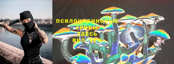 первитин Бородино